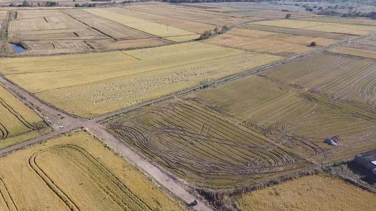 TZOB Genel Başkanı Bayraktar: Biga'da 45 bin dekar alanda zarar görünüyor