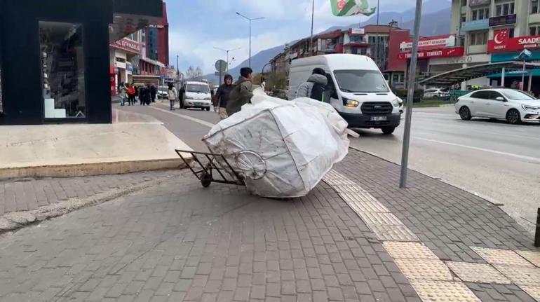 Bursa'da lodos yaşamı olumsuz etkiledi