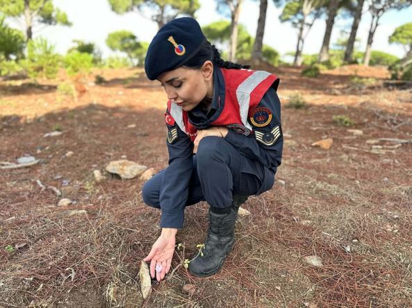 Sultan çiğdemini koparmanın cezası 387 bin lira