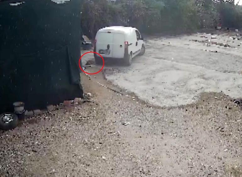 Otoparkta yatan köpeğini aracıyla ezen komşusundan şikayetçi oldu