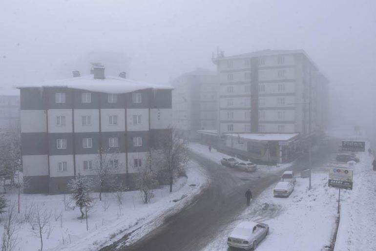 Bitlis’te yoğun sis