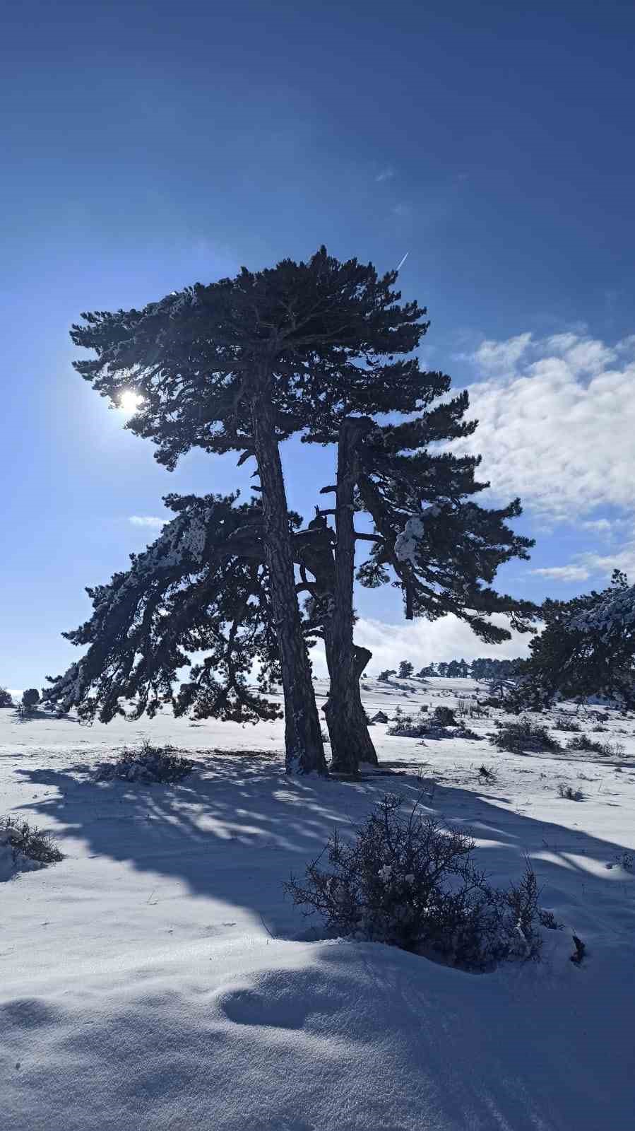 Kırka Mahallesi beyaza büründü